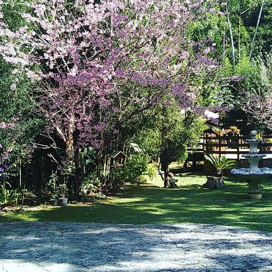 Havila Arara Azul Nova Friburgo Eksteriør bilde