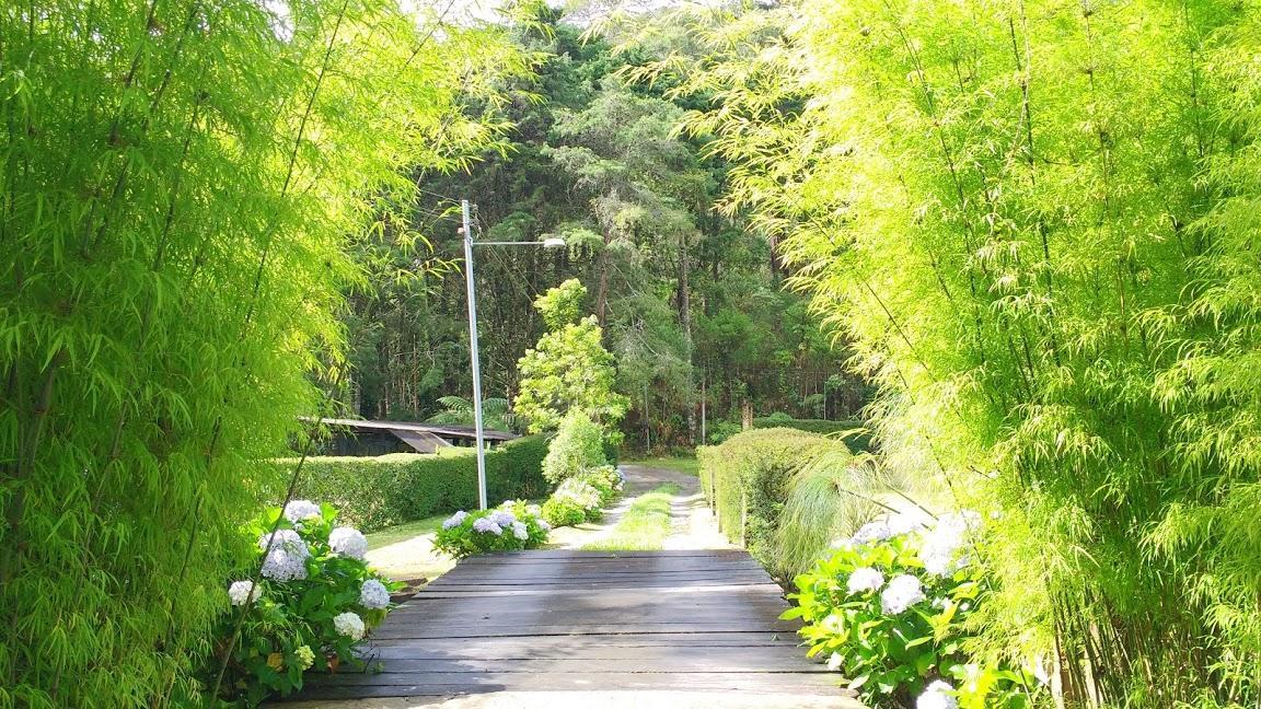 Havila Arara Azul Nova Friburgo Eksteriør bilde